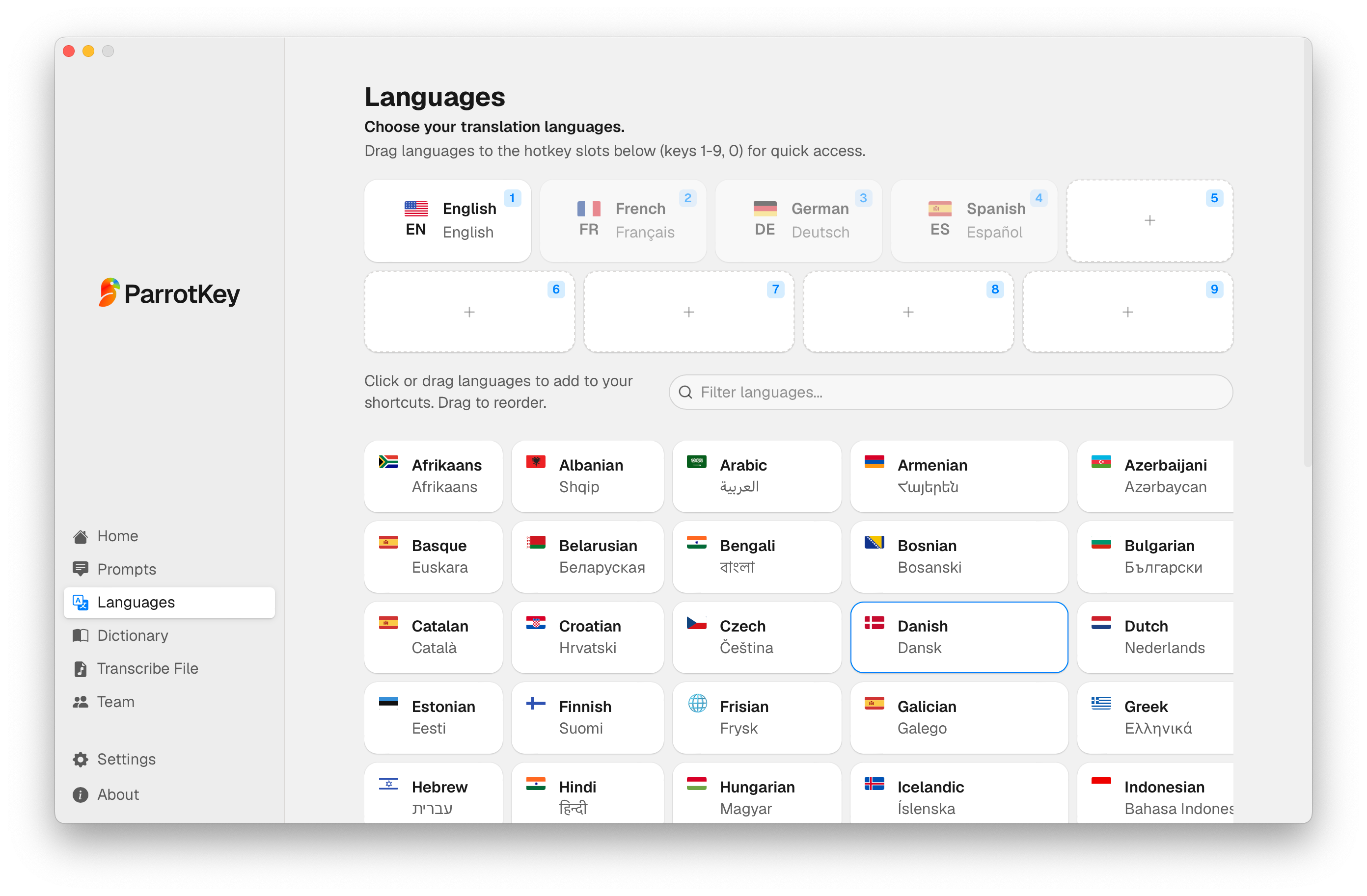 ParrotKey language and provider selection screen showing translation between two languages on a desktop
