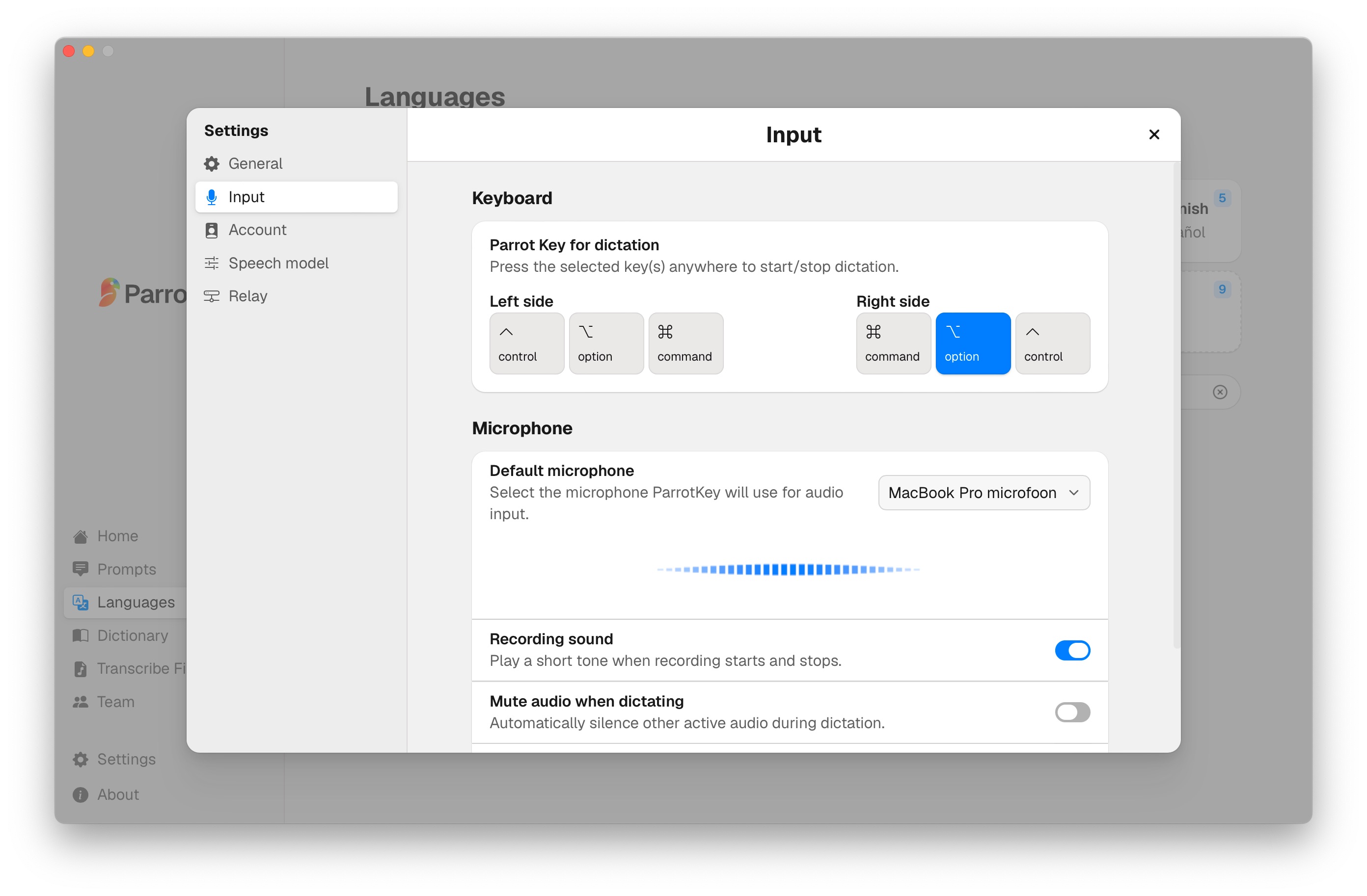 ParrotKey settings screen showing the dictation hotkey configuration and the choice of AI provider